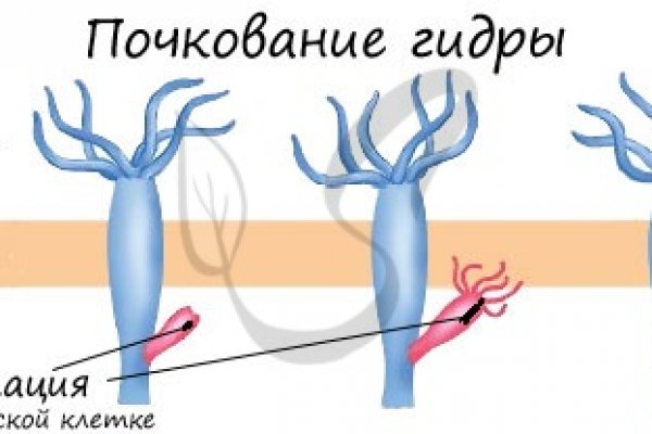 Кракен актуальная ссылка тор