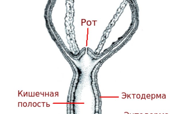 2krn сс